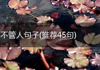 不管人句子(推荐45句)