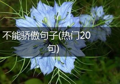 不能骄傲句子(热门20句)