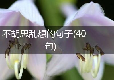 不胡思乱想的句子(40句)