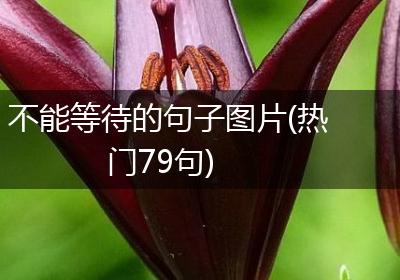 不能等待的句子图片(热门79句)