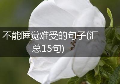 不能睡觉难受的句子(汇总15句)