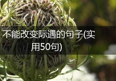 不能改变际遇的句子(实用50句)