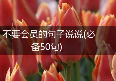 不要会员的句子说说(必备50句)