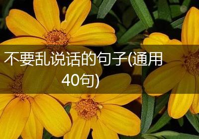 不要乱说话的句子(通用40句)