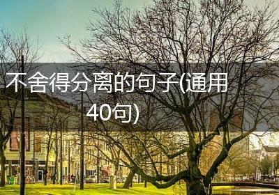 不舍得分离的句子(通用40句)