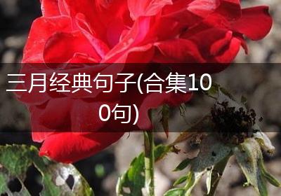 三月经典句子(合集100句)