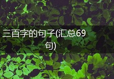 三百字的句子(汇总69句)
