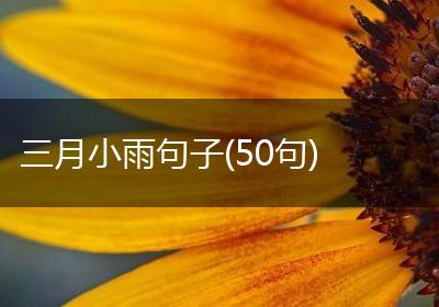 三月小雨句子(50句)