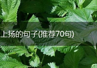 上扬的句子(推荐70句)