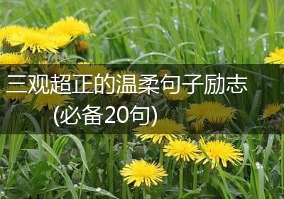 三观超正的温柔句子励志(必备20句)