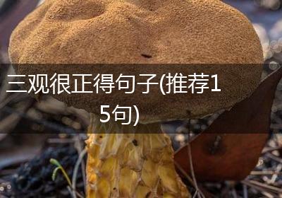 三观很正得句子(推荐15句)