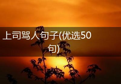 上司骂人句子(优选50句)