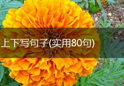 上下写句子(实用80句)