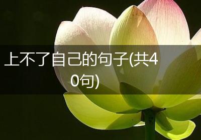 上不了自己的句子(共40句)