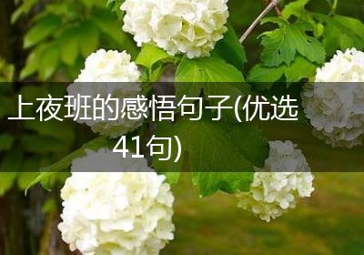 上夜班的感悟句子(优选41句)