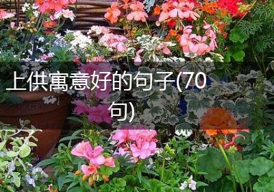 上供寓意好的句子(70句)