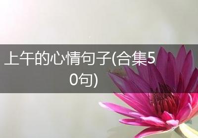 上午的心情句子(合集50句)
