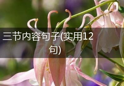 三节内容句子(实用12句)