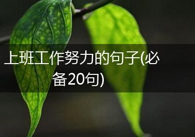 上班工作努力的句子(必备20句)