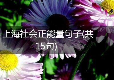 上海社会正能量句子(共15句)