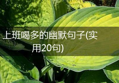 上班喝多的幽默句子(实用20句)