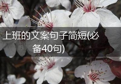 上班的文案句子简短(必备40句)