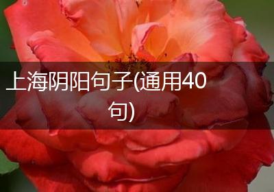 上海阴阳句子(通用40句)