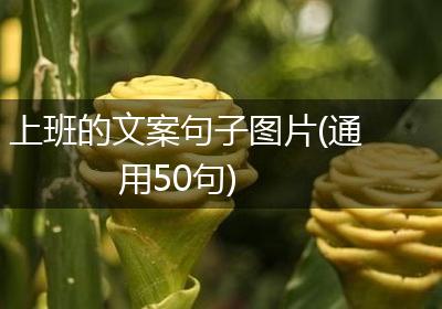 上班的文案句子图片(通用50句)
