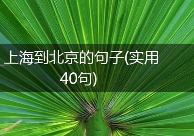 上海到北京的句子(实用40句)