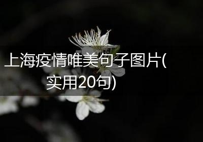 上海疫情唯美句子图片(实用20句)