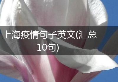 上海疫情句子英文(汇总10句)
