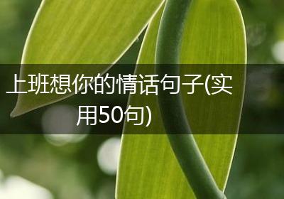 上班想你的情话句子(实用50句)