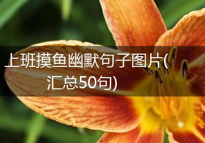 上班摸鱼幽默句子图片(汇总50句)