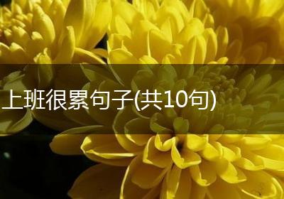 上班很累句子(共10句)