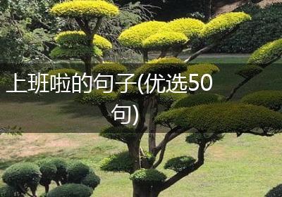 上班啦的句子(优选50句)