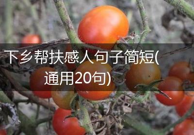 下乡帮扶感人句子简短(通用20句)