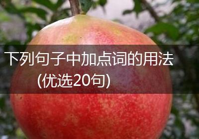 下列句子中加点词的用法(优选20句)