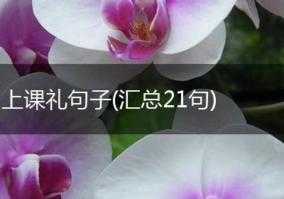 上课礼句子(汇总21句)