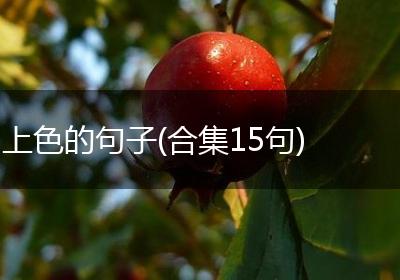 上色的句子(合集15句)