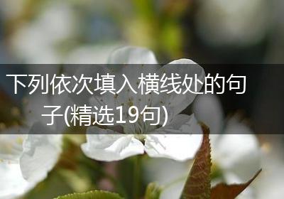 下列依次填入横线处的句子(精选19句)