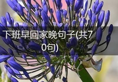 下班早回家晚句子(共70句)