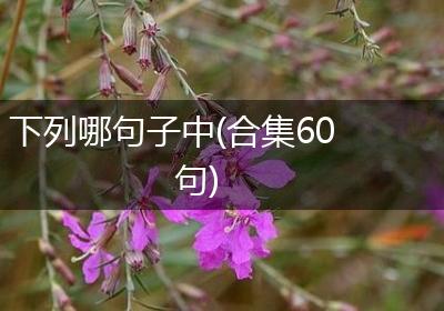 下列哪句子中(合集60句)