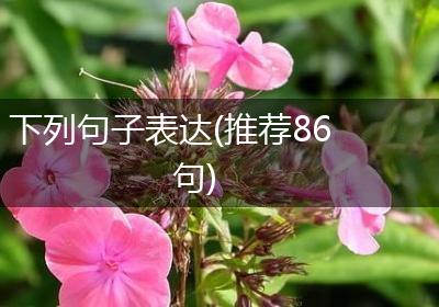 下列句子表达(推荐86句)