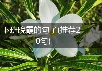 下班晚霞的句子(推荐20句)
