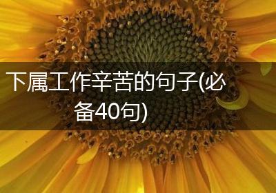 下属工作辛苦的句子(必备40句)