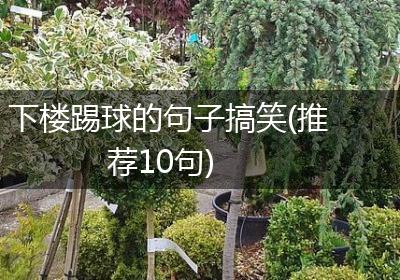 下楼踢球的句子搞笑(推荐10句)