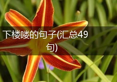 下楼喽的句子(汇总49句)