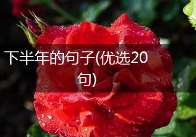 下半年的句子(优选20句)