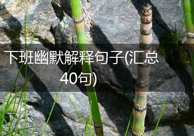 下班幽默解释句子(汇总40句)