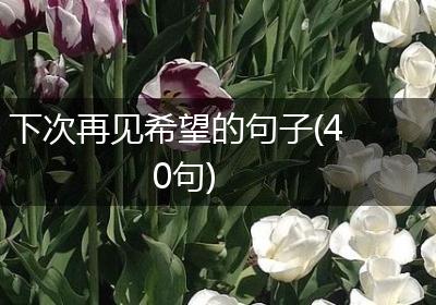 下次再见希望的句子(40句)